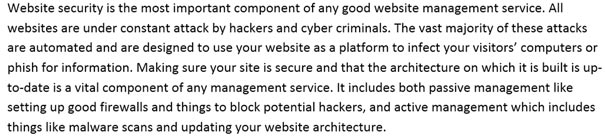 website security